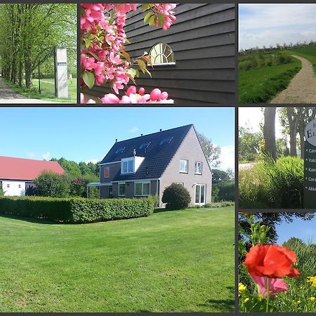 Hofstede Elzenoord Villa Vrouwenpolder Eksteriør bilde